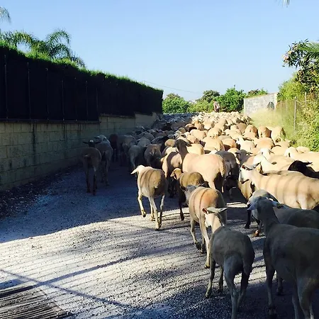 Cortijo Andaluz Alojamento de Acomodação e Pequeno-almoço 3*