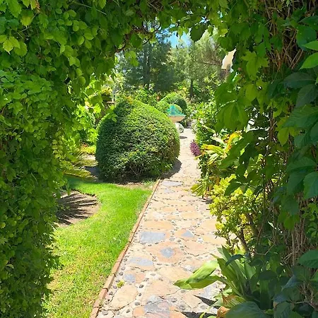 Cortijo Andaluz Bed and breakfast