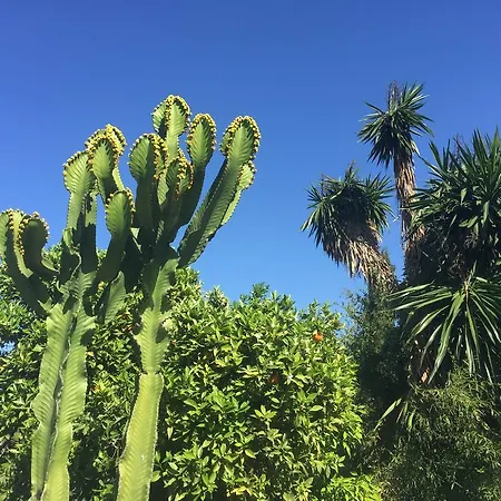 Cortijo Andaluz Frühstückspension