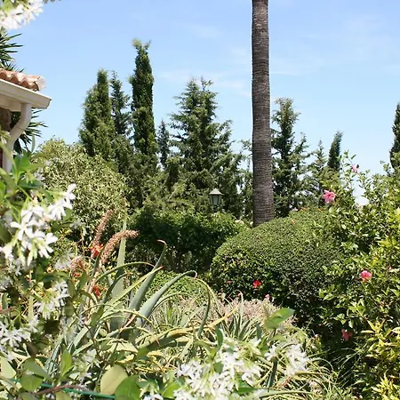 Frühstückspension Cortijo Andaluz Alhaurín el Grande