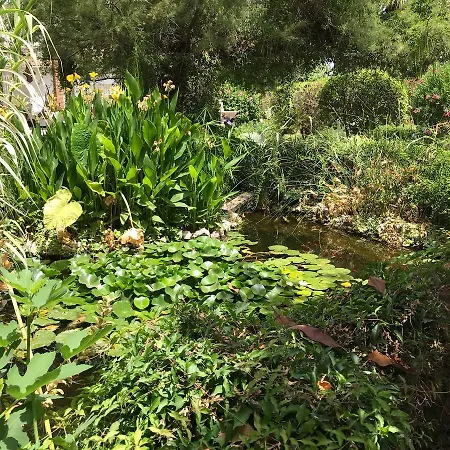 Frühstückspension Cortijo Andaluz 3*
